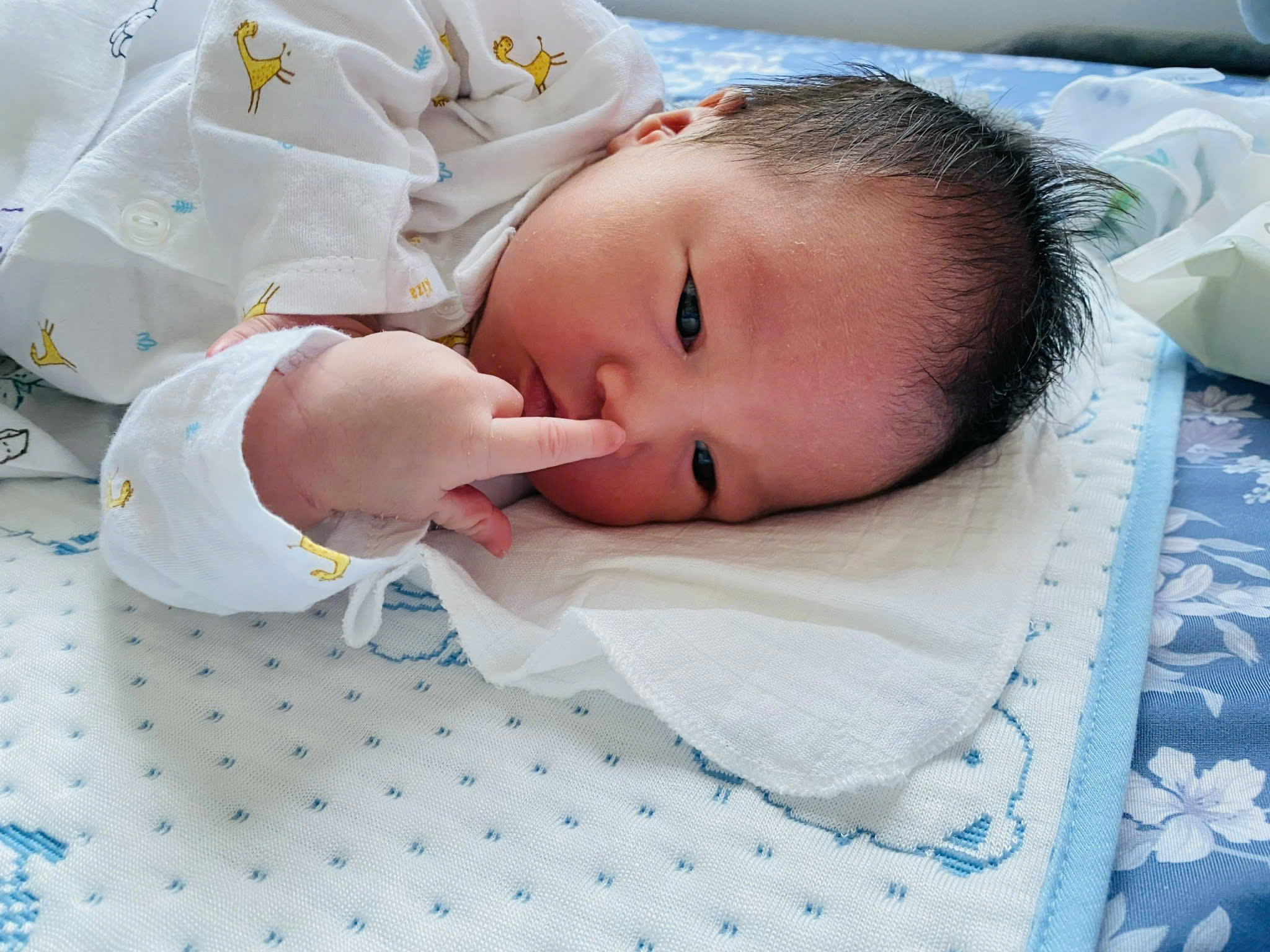 Chụp ảnh cùng bố